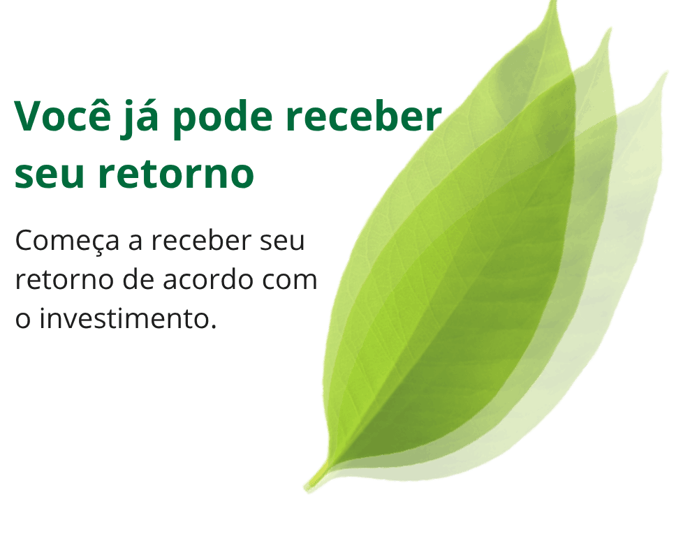 Passo 5 do Investimento